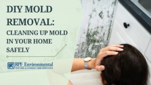 DIY mold removal: Can you clean up mold yourself?