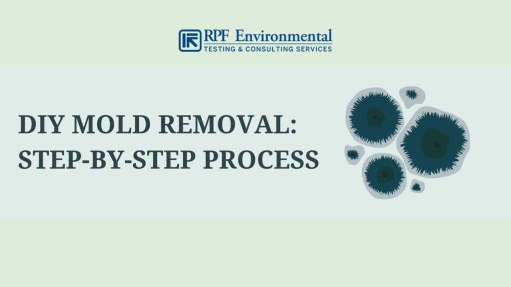 Step-by-step process for DIY mold removal