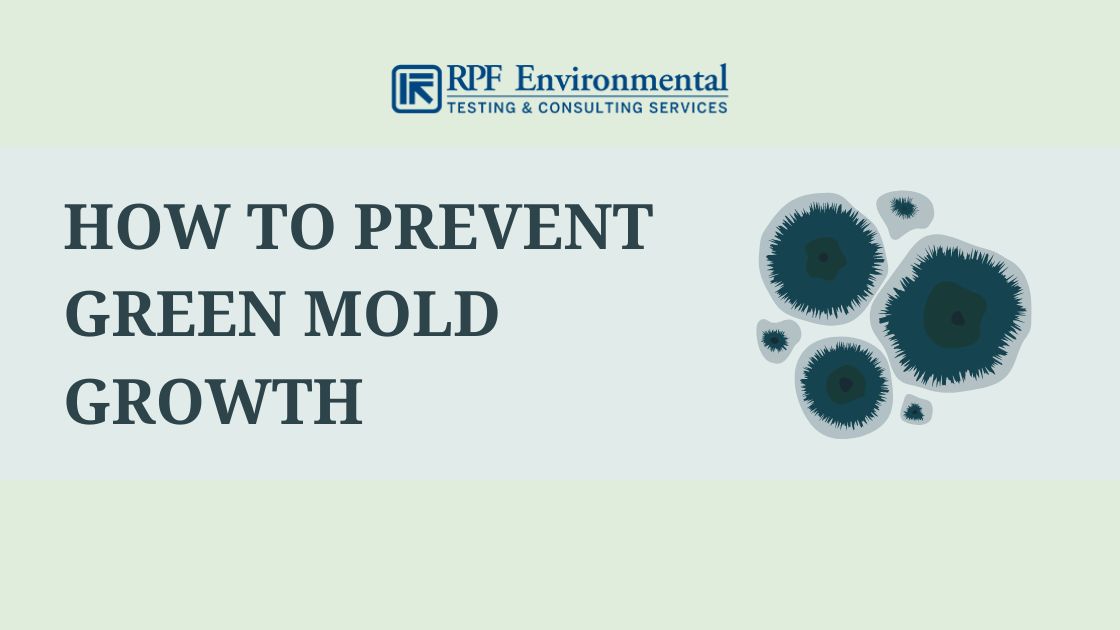 Green Mold Identification, Dangers, Removal, & Prevention