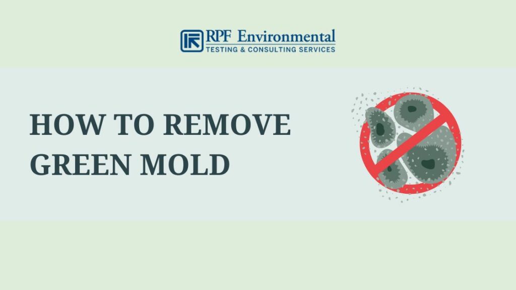 Green mold removal