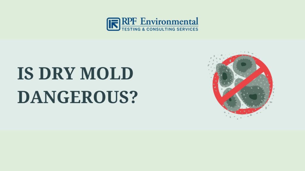 Is Dry Mold Dangerous to Your Health?