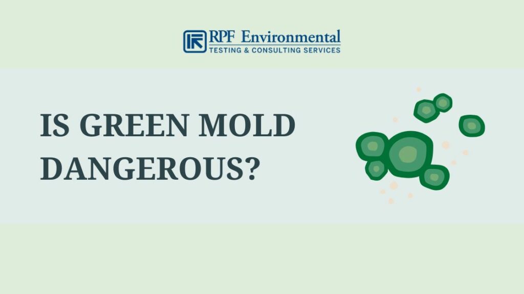 Health risks associated with green mold