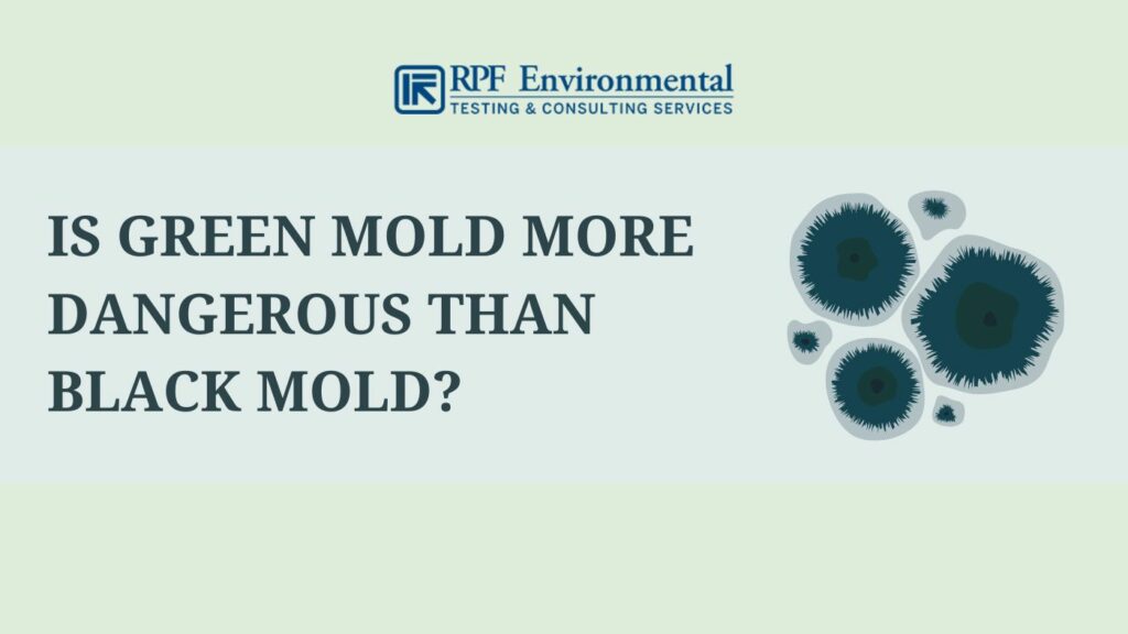 Is Green Mold More Dangerous Than Black Mold?