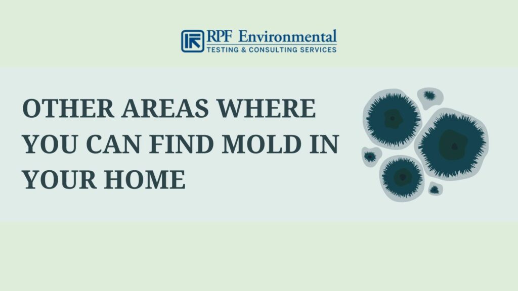 Other Areas Where You Can Find Mold in Your Home