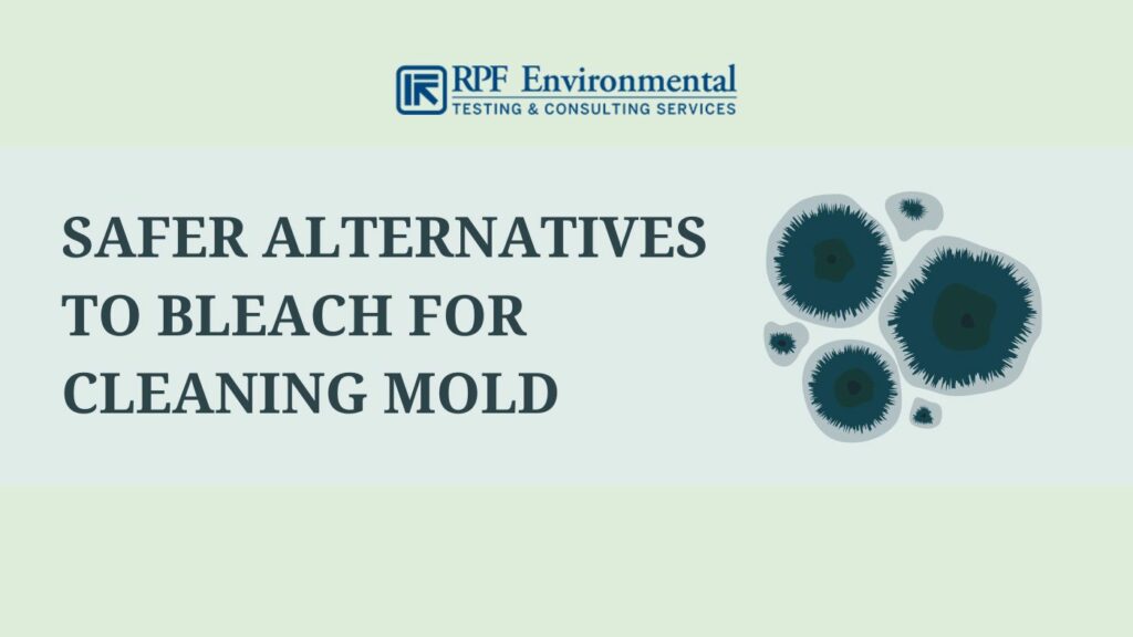 Safer Alternatives to Bleach for Cleaning Mold