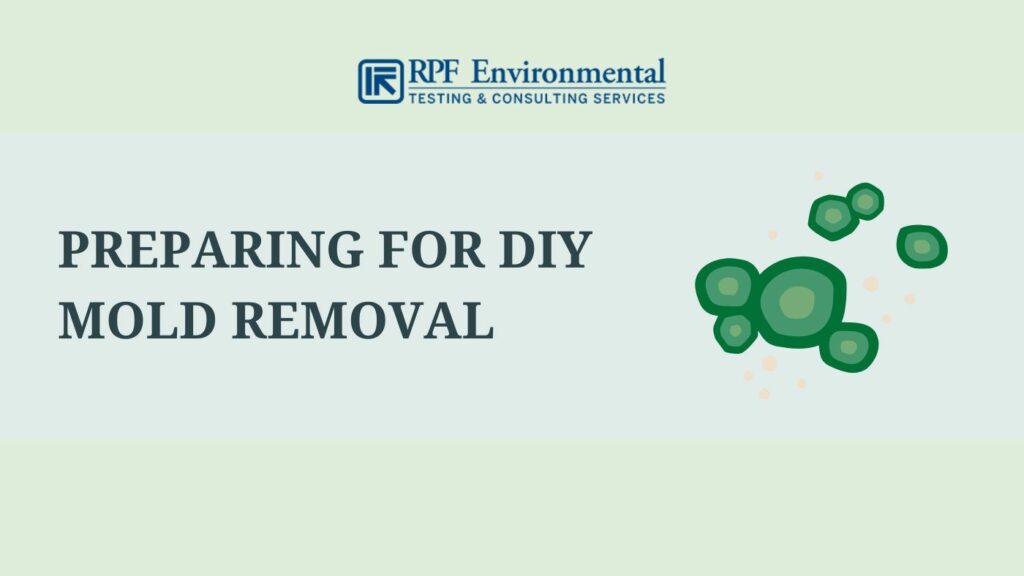 what you need to prepare for DIY mold removal