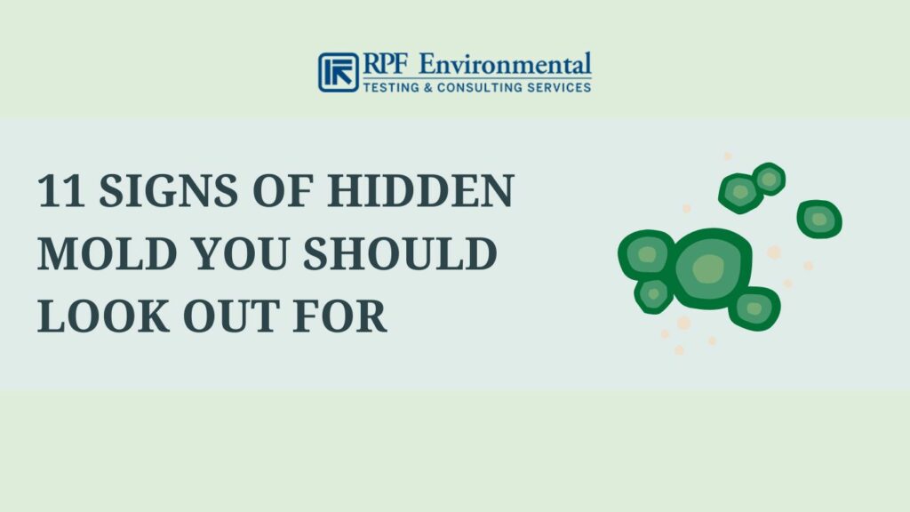 11 Signs of Hidden Mold You Should Look Out For