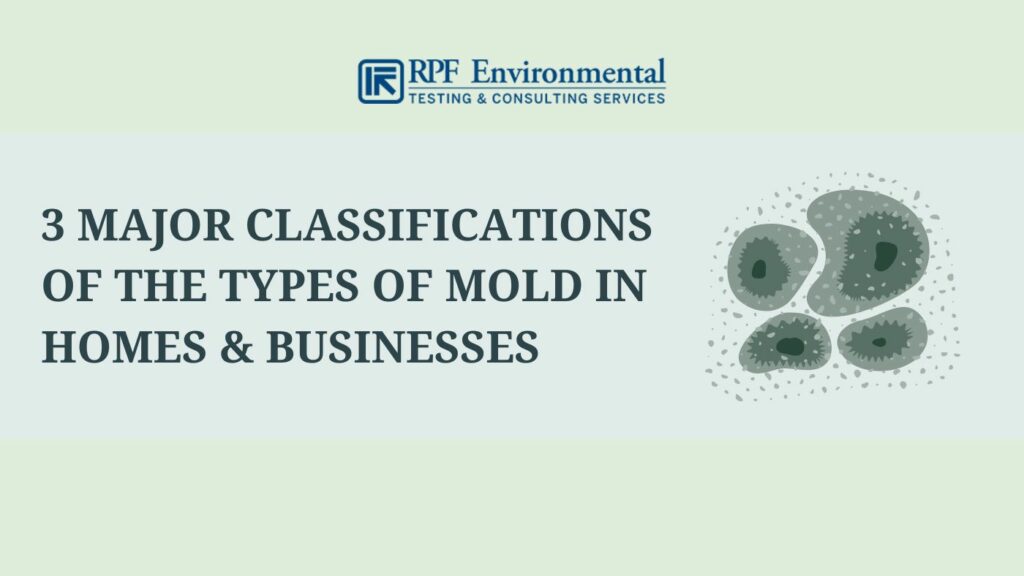 3 Major Classifications of the Types of Mold in Homes and Businesses