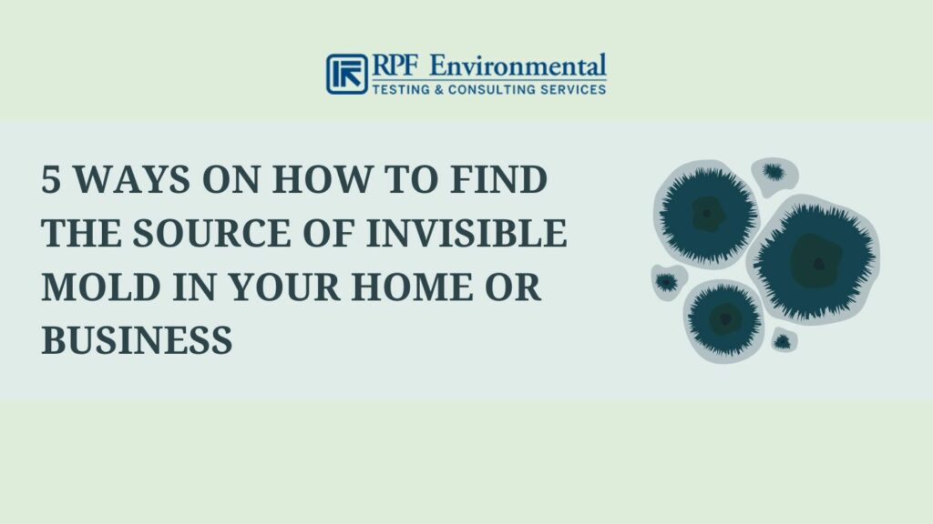 5 Ways on How to Find the Source of Invisible Mold in Your Home or Business