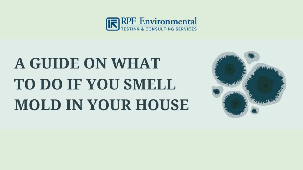 Step-By-Step Guide on What to Do if You Smell Mold in Your House