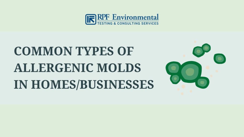 Common types of allergenic molds in homes and businesses