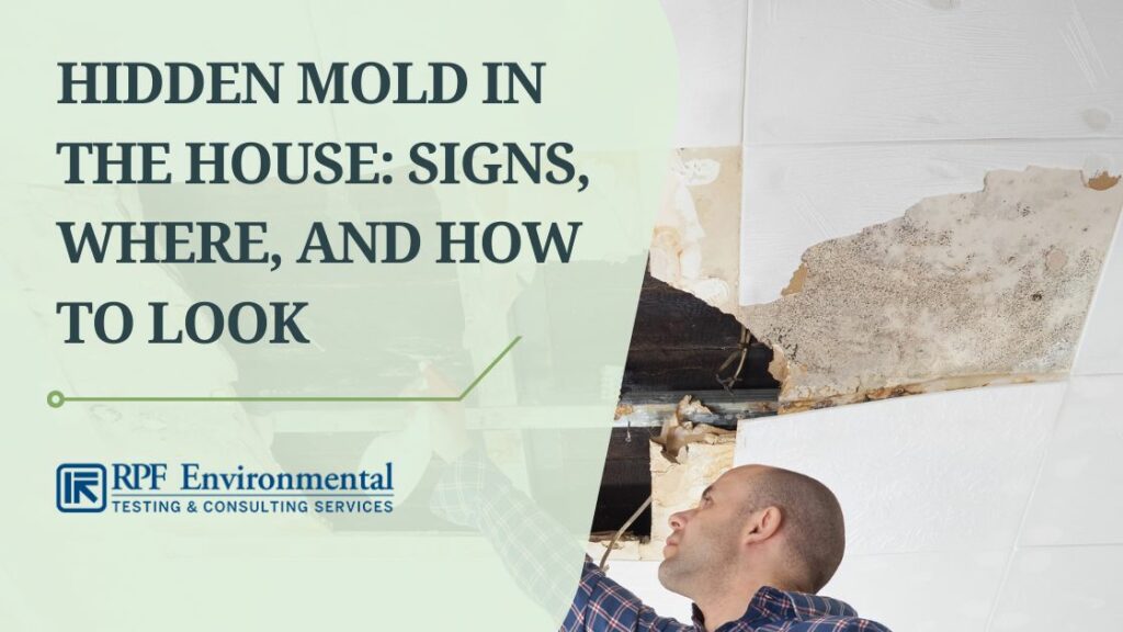 Signs and How to Find Hidden Mold in Your House or Business