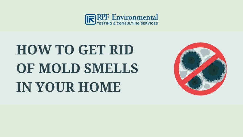 How to Get Rid of Mold Smells in Your Home