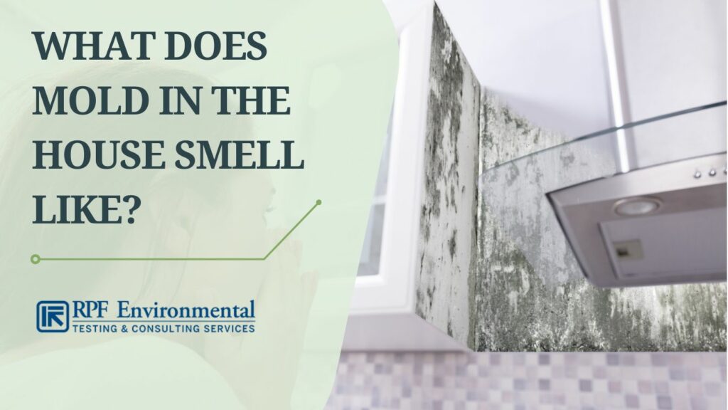 What Does Mold in the House Smell Like?