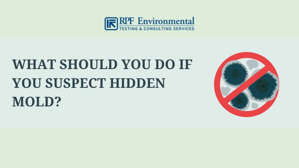 What Should You Do If You Suspect Hidden Mold?