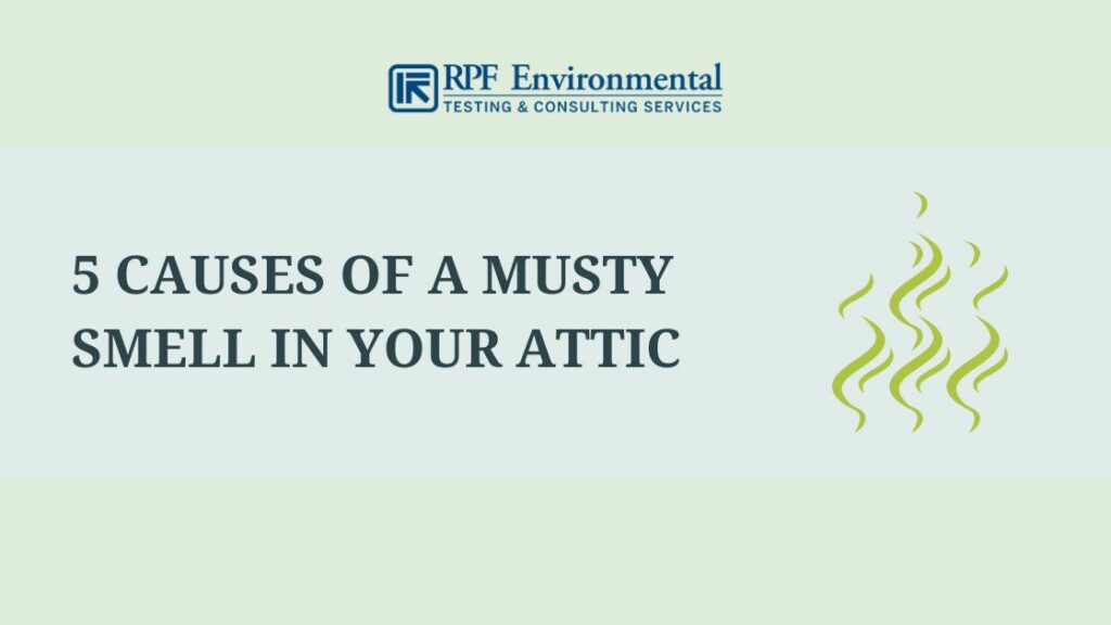 5 Causes of a Musty Smell in Your Attic