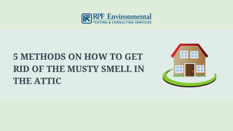 5 Causes of Musty Smell in the Attic & How to Get Rid of Them