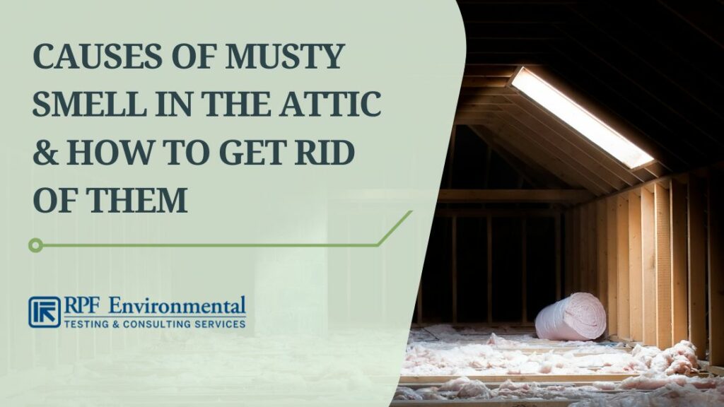 Top 5 Causes of a Musty Attic Smell & How to Get Rid of Them