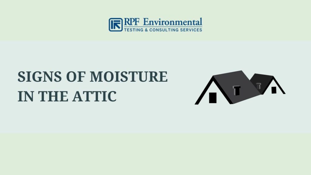 Signs of Moisture in the Attic