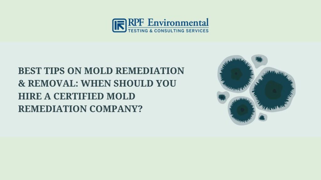 Best Tips on Mold Remediation & Removal: When Should You Hire a Certified Mold Remediation Company?