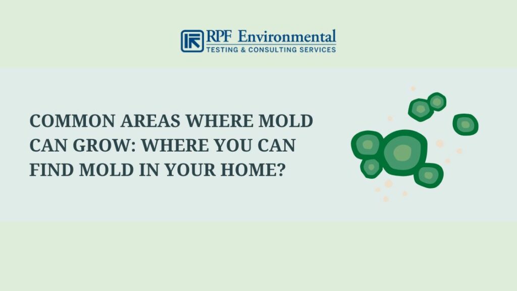 Common Areas Where Mold Can Grow: Where You Can Find Mold in Your Home?