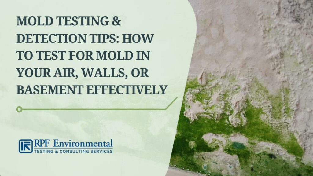 Mold Testing & Detection Tips: How to Test for Mold in Your Air, Walls, or Basement Effectively