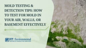 Mold Testing & Detection Tips: How to Test for Mold in Your Air, Walls, or Basement Effectively