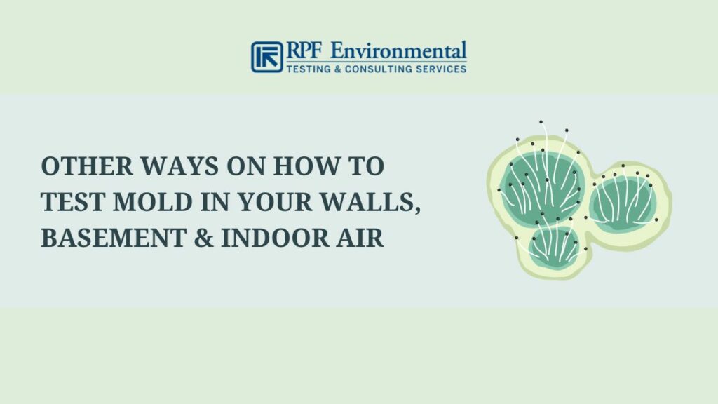 Other Ways on How to Test Mold in Your Walls, Basement & Indoor Air