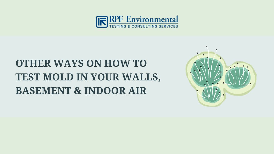 Mold Testing & Detection How to Test for Mold in Your Home