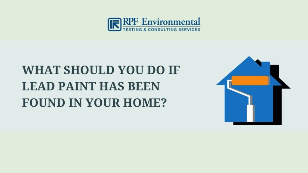 What Should You Do if Lead Paint Has Been Found in Your Home?