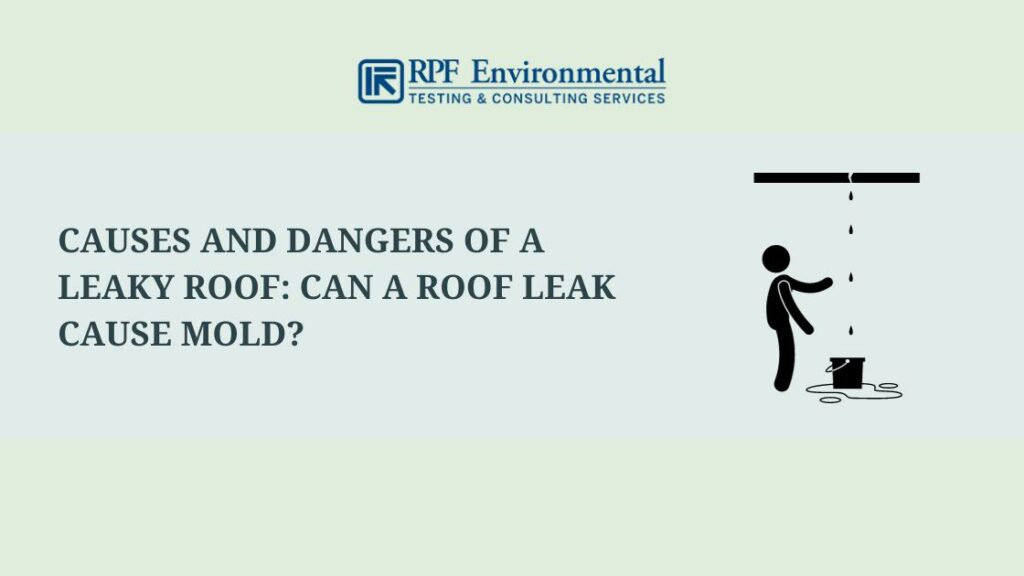 Causes and Dangers of a Leaky Roof: Can a Roof Leak Cause Mold?