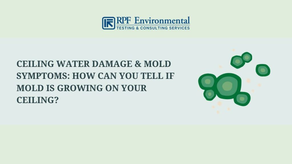 Ceiling Water Damage & Mold Symptoms: How Can You Tell if Mold Is Growing On Your Ceiling?