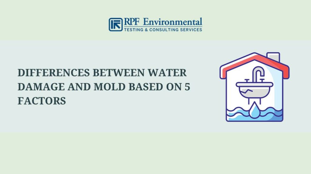 Differences Between Water Damage and Mold Based on 5 Factors