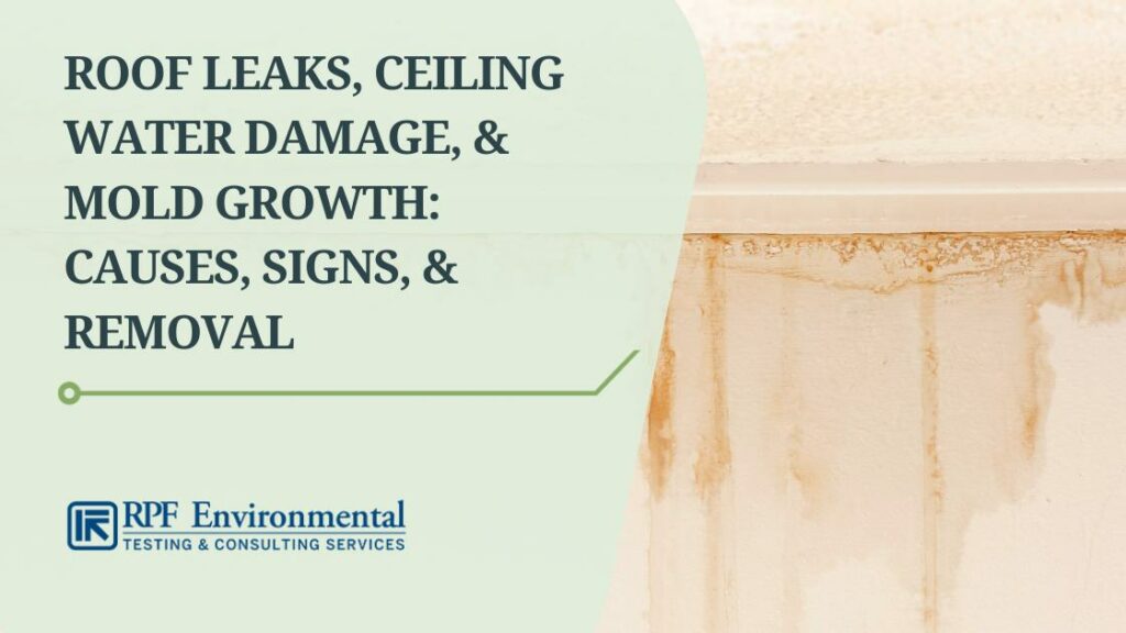 Roof Leaks, Ceiling Water Damage, & Mold Growth: Causes, Signs, & Removal