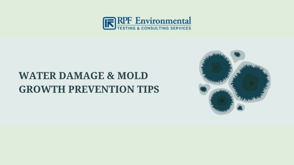 Water Damage & Mold Growth Prevention Tips