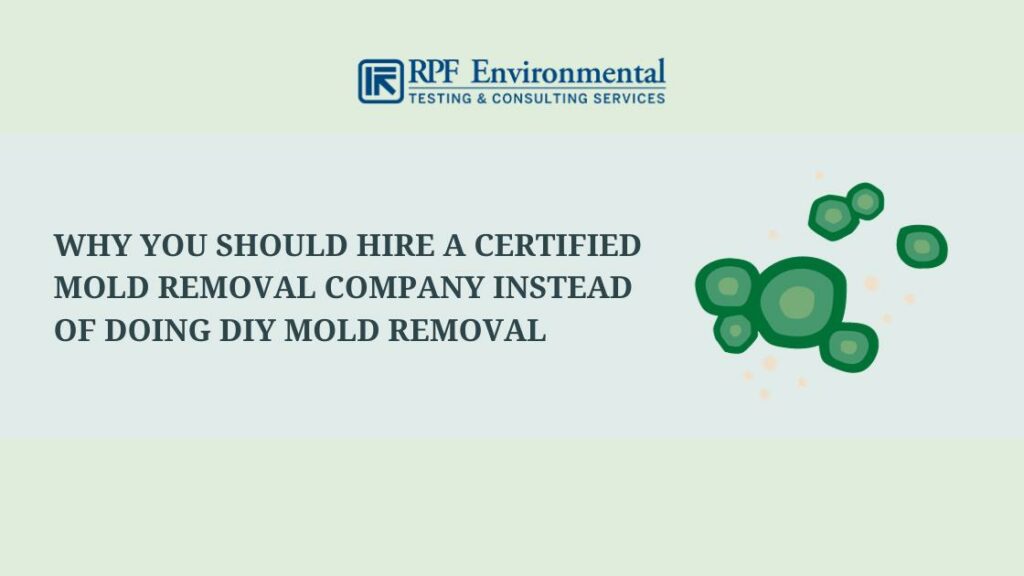 Why You Should Hire a Certified Mold Removal Company Instead of Doing DIY Mold Removal